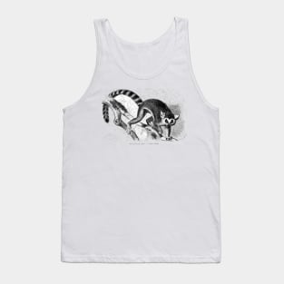 Lemur catta by Gustav Ludwig Heinrich Mützel Tank Top